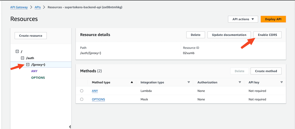 Enable CORS for the proxy path UI